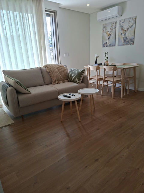 T1 Apartment for Sublet in Oliveira do Douro, Vila Nova de Gaia